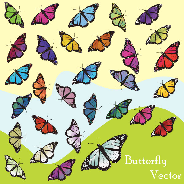 Butterfly Free Vector Art