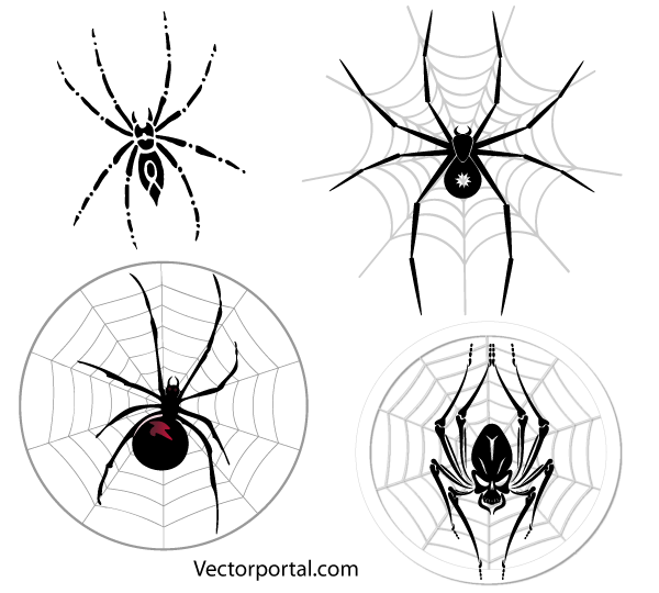 Spider Web Free Vector Art