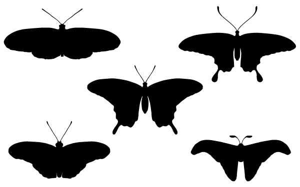 Vector Butterfly Silhouettes