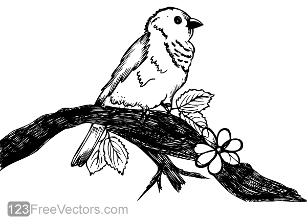 Cute Bird on Tree Branch Vector Art