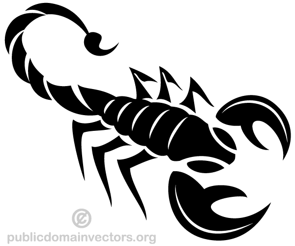 Vector Scorpion Image