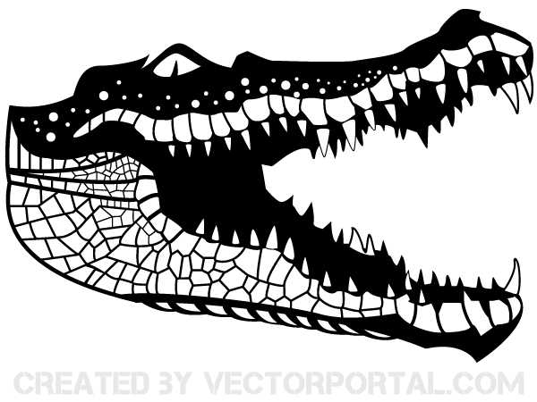 Crocodile Vector Image