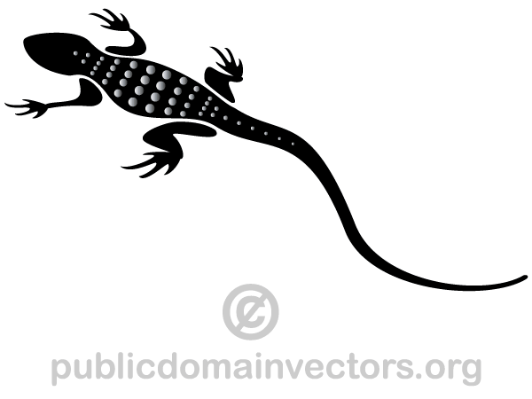 Lizard Silhouette Image