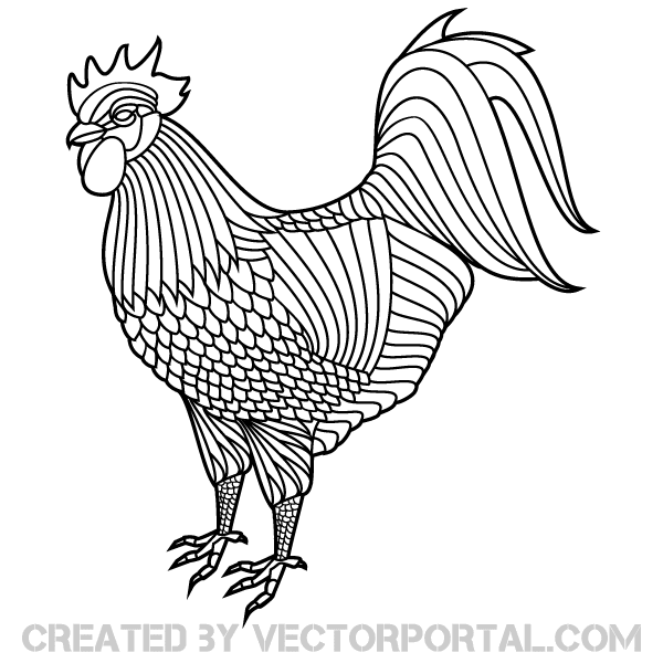 Rooster Vector Image