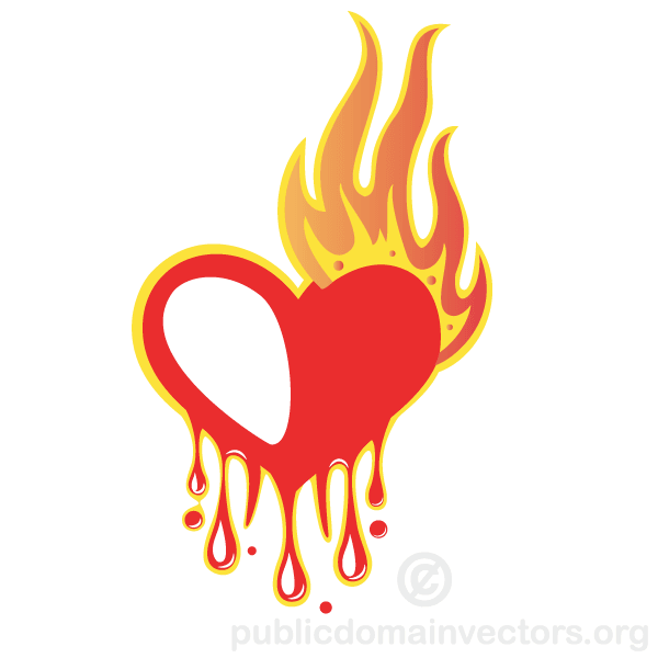 Bleeding Heart with Flames Vector Image