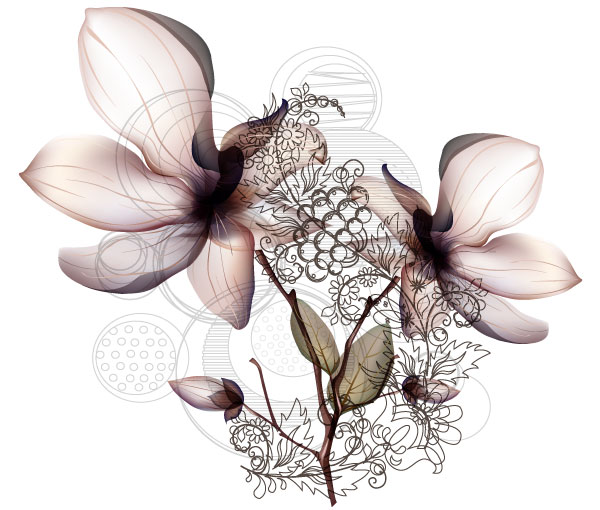 Vector Orchid Flower