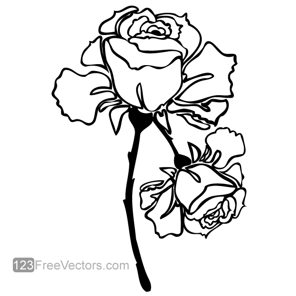 Hand Drawn Rose Vector Image