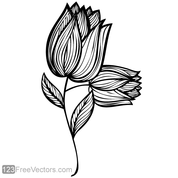 Hand Drawn Rose Flower Design