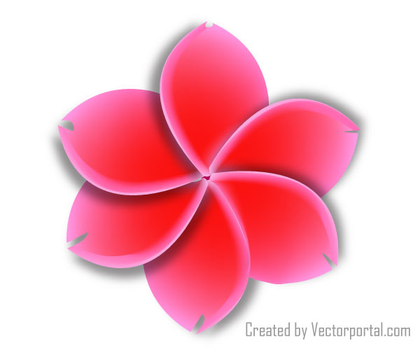 Vector Flower