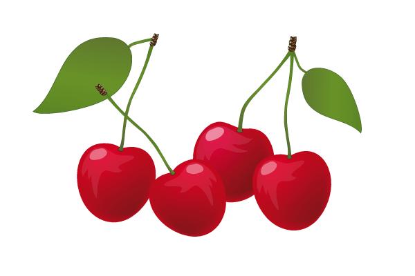Vector Red Cherry Illustration