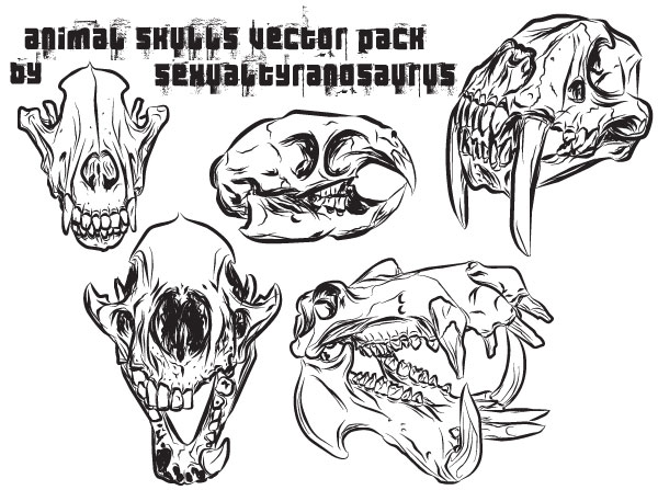 Animal Skulls Vector Pack | Download Free Vector Art | Free-Vectors