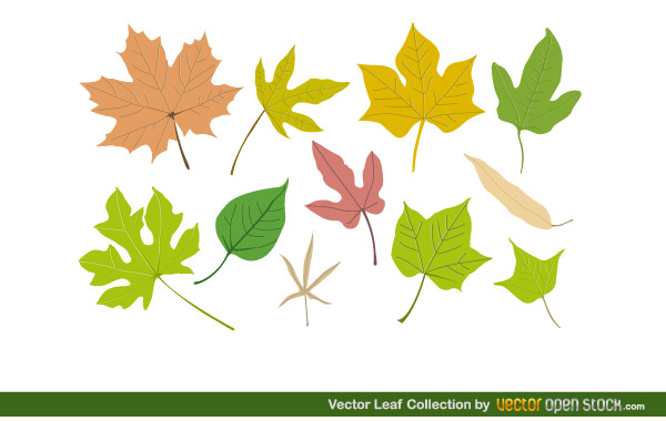 Free Vector Leaf Collection