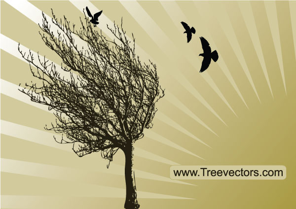 Vector Tree Silhouette with Birds