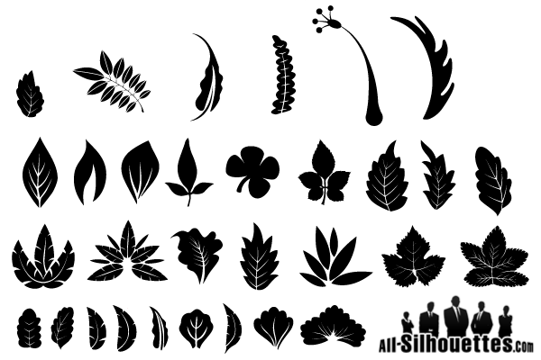 Vector Leaf Silhouette Free Graphics