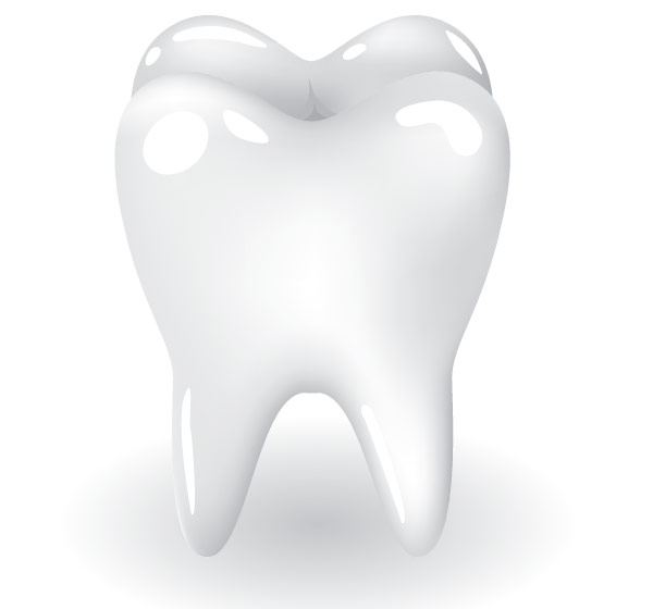 Free Tooth Vector Art
