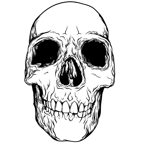 skull clip art vector - photo #31